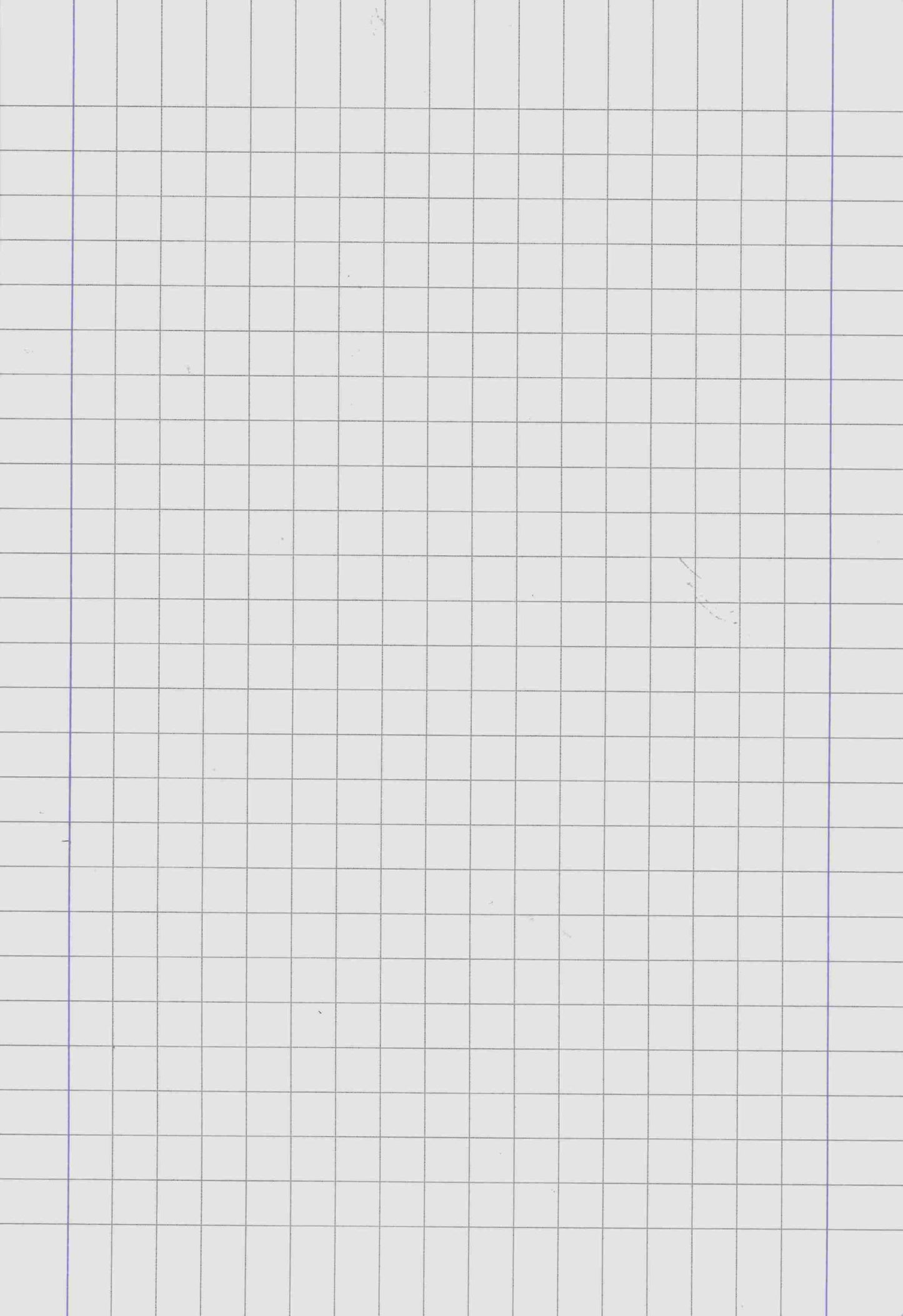 Quadernone 10mm con margine - Centroscuola