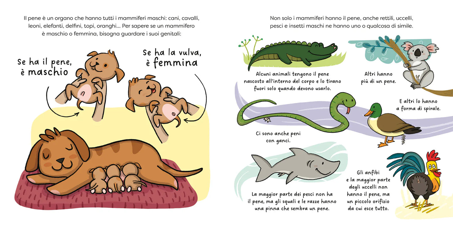Pisellino? Si chiama Pene!