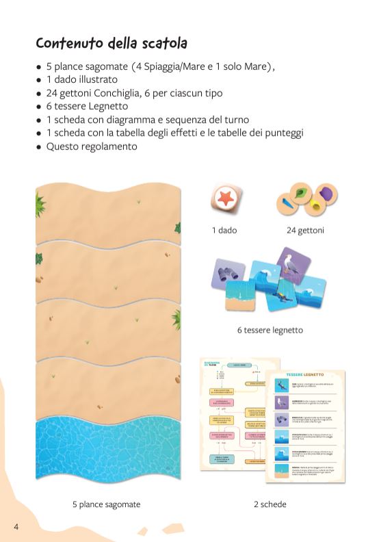 A caccia di conchiglie - Centroscuola