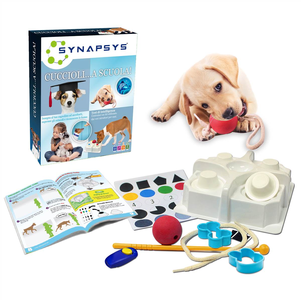 Cuccioli… a scuola! - Centroscuola