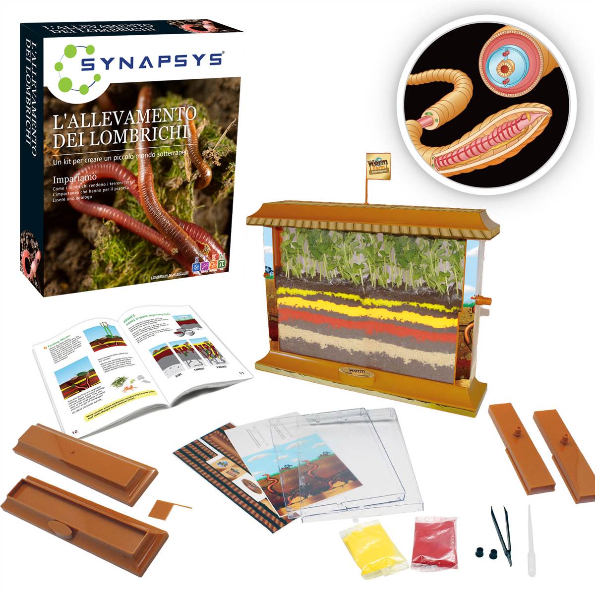 Allevamento di Lombrichi - Centroscuola