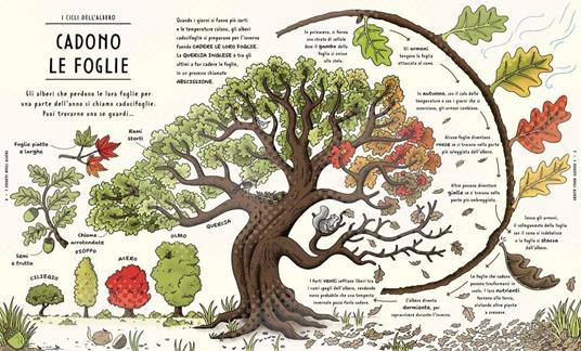 I segreti della natura