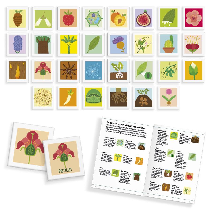 Labirinto delle Piante - Centroscuola