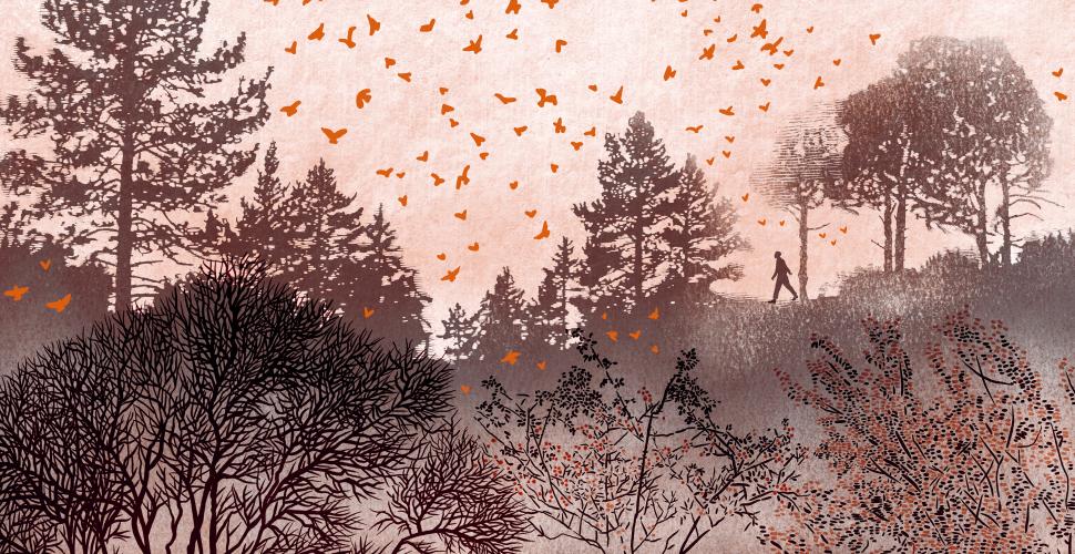 La masca Micilina - Centroscuola