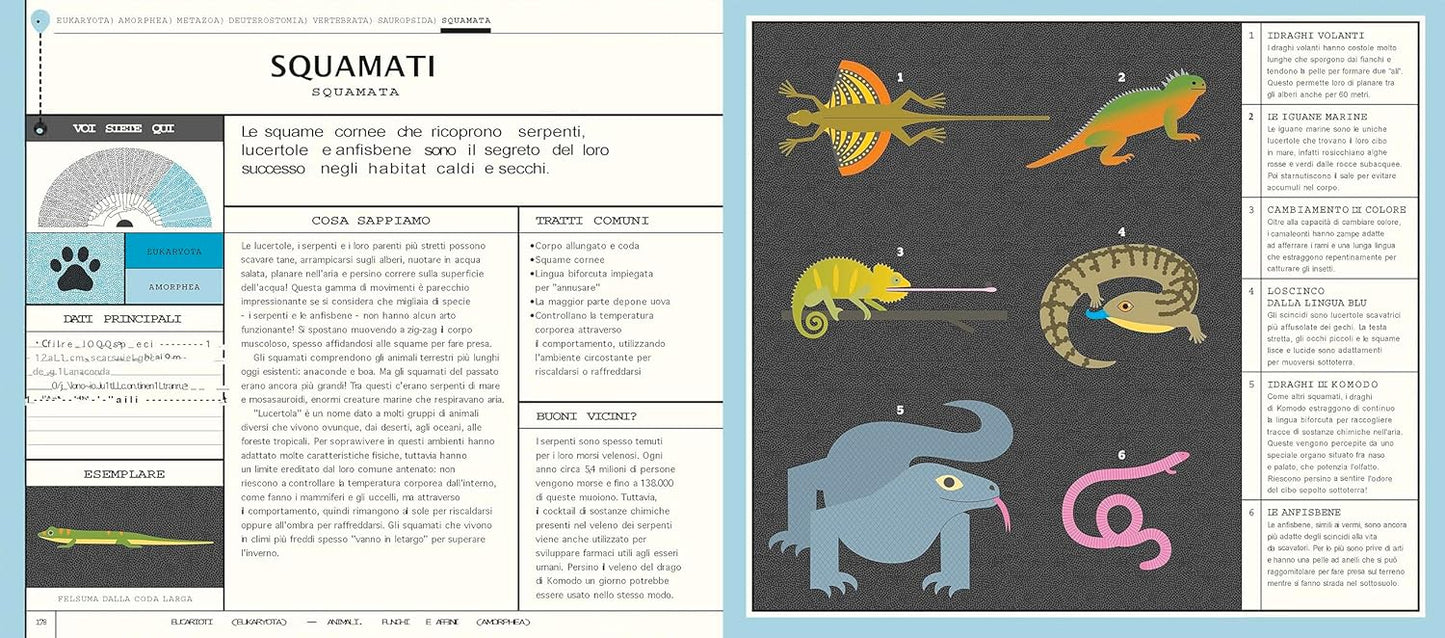 L'Albero della vita - Alla scoperta della biodiversità - Centroscuola