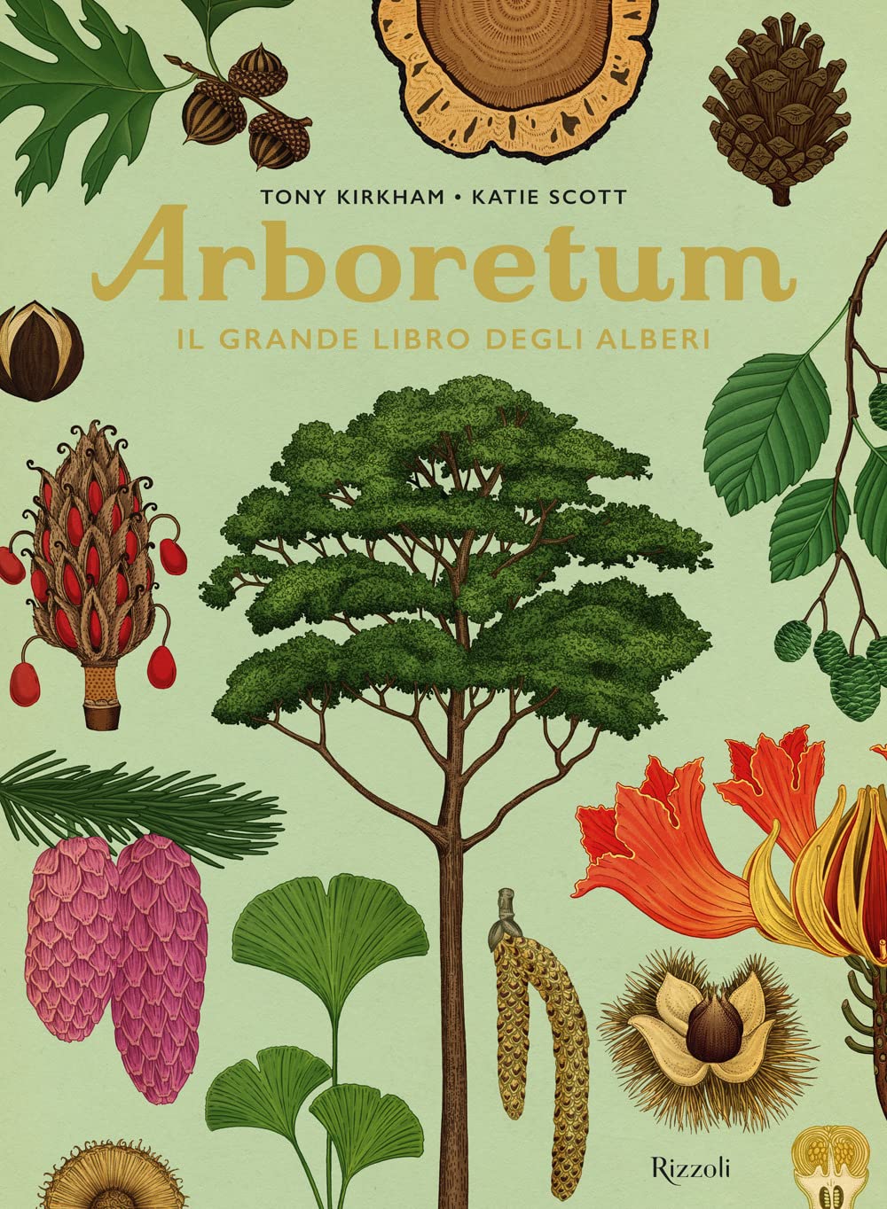 Arboretum - Il grande libro degli alberi - Centroscuola