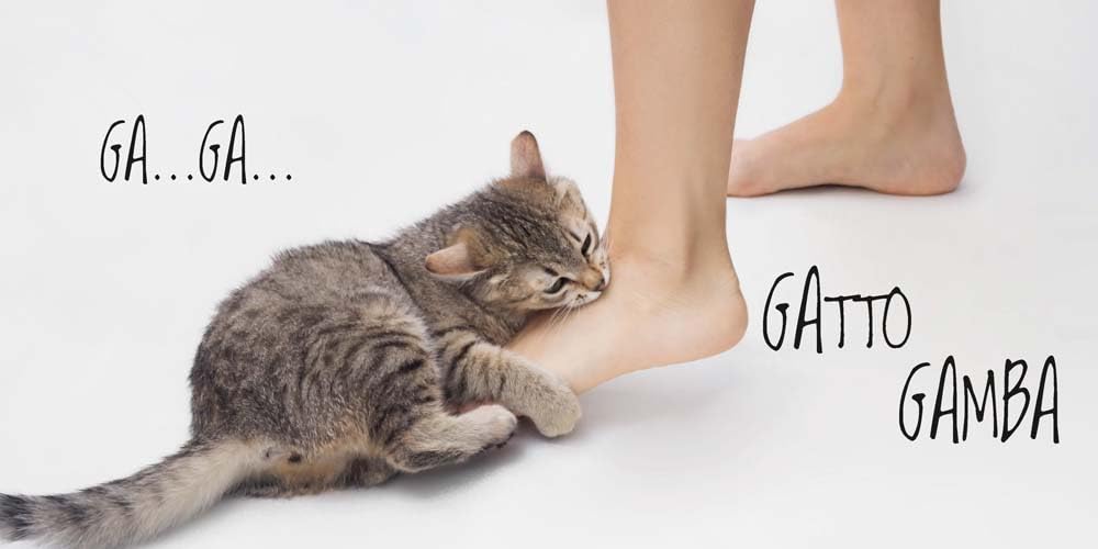 Bebè belli - Centroscuola