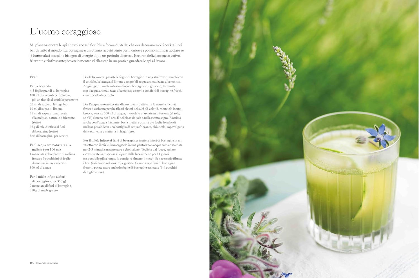 Bevande botaniche - Centroscuola