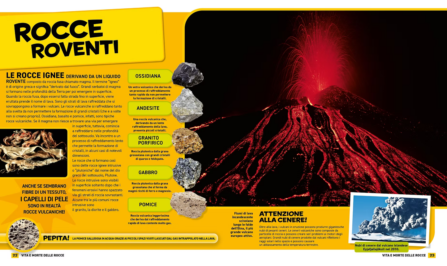 Tutto su rocce e minerali