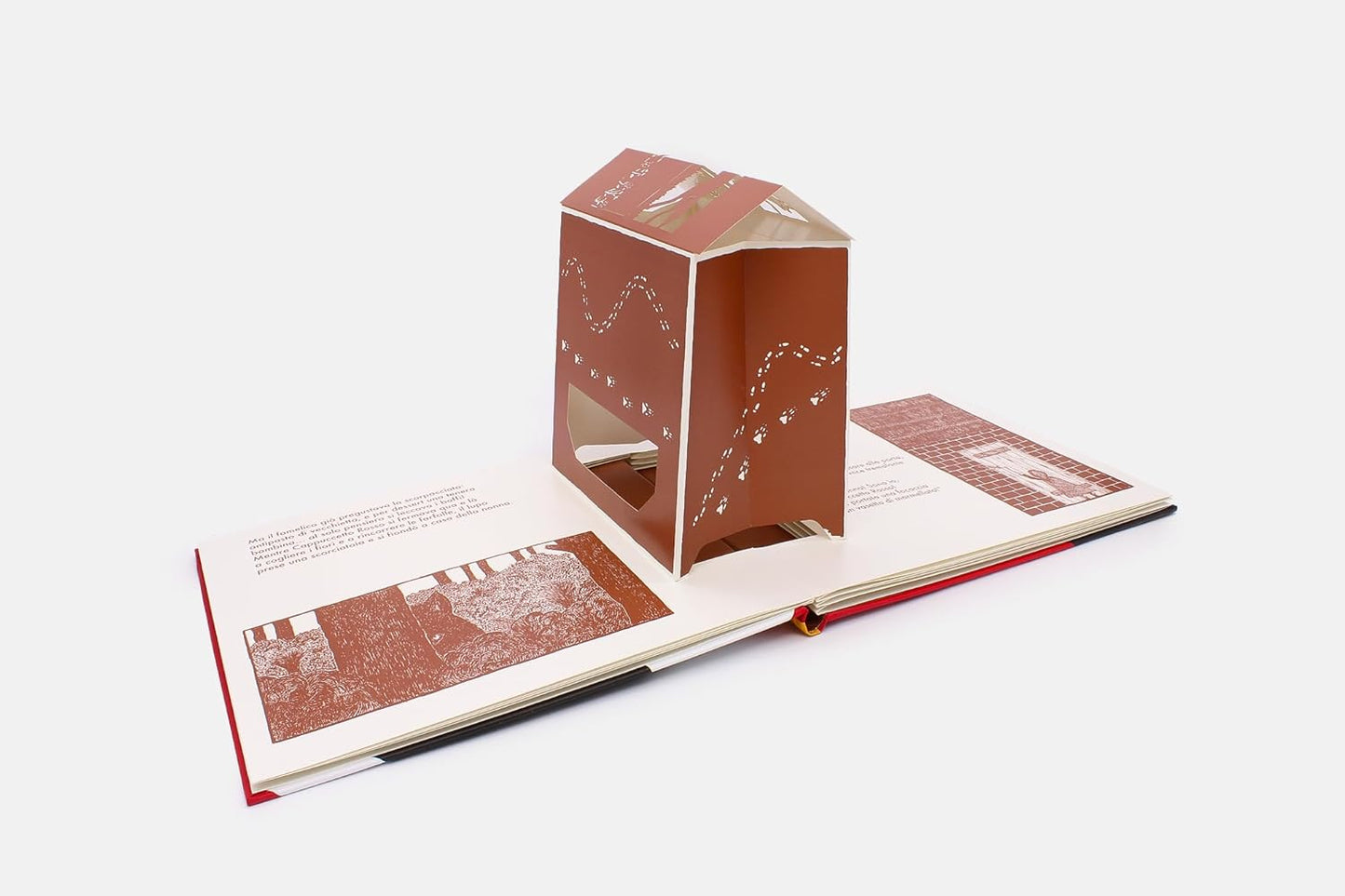 Cappuccetto rosso - Il piccolo teatro d'ombre - Centroscuola