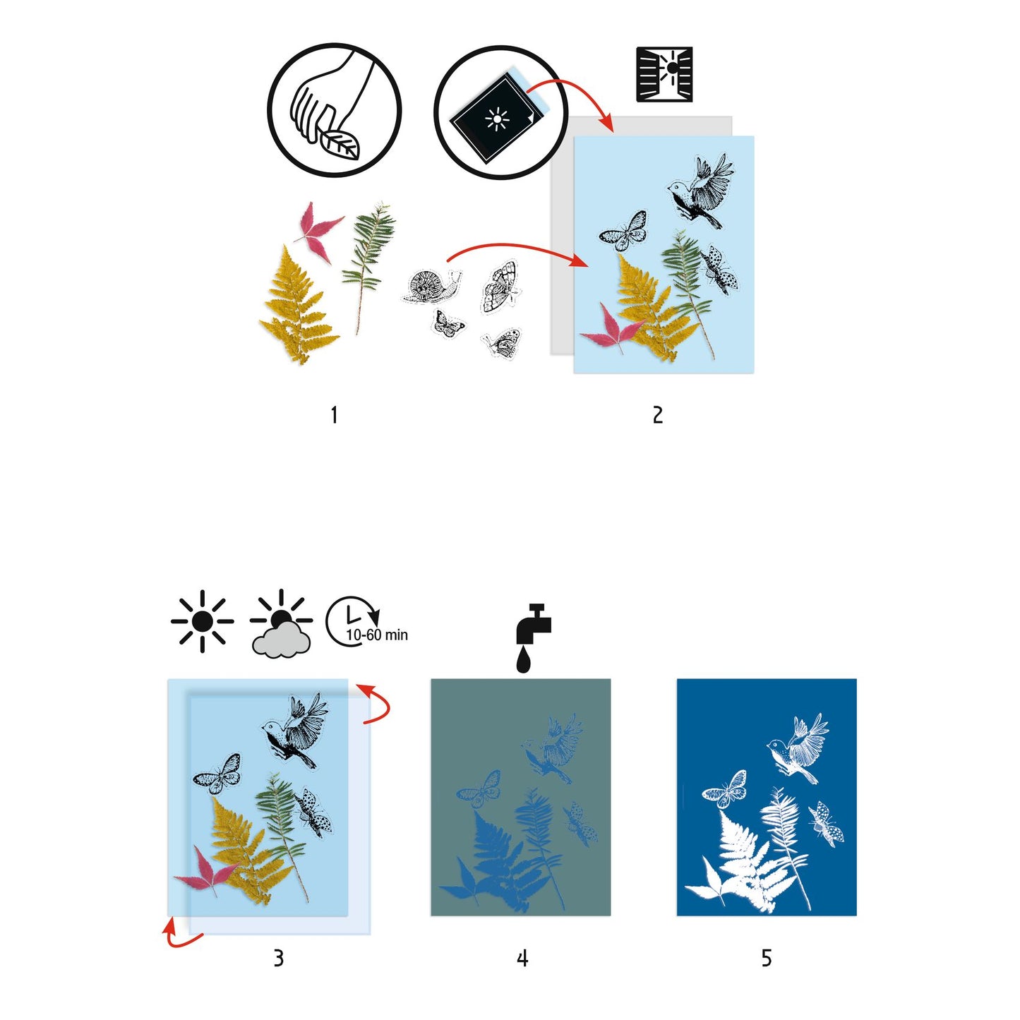 Cianotipia - Kit iniziale - Centroscuola