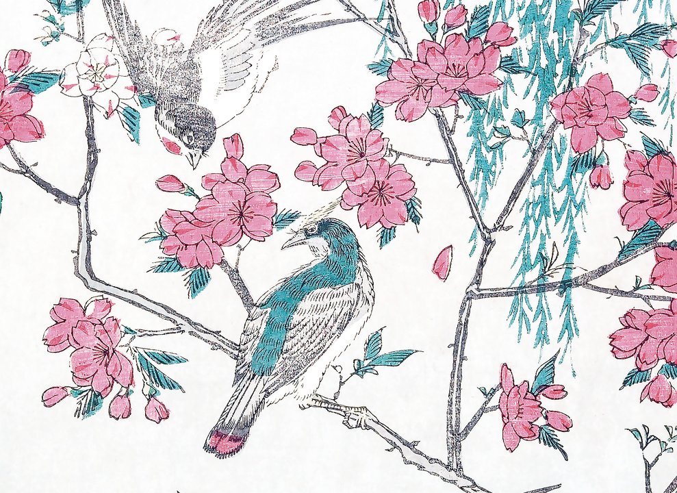 I ciliegi in fiore - Centroscuola