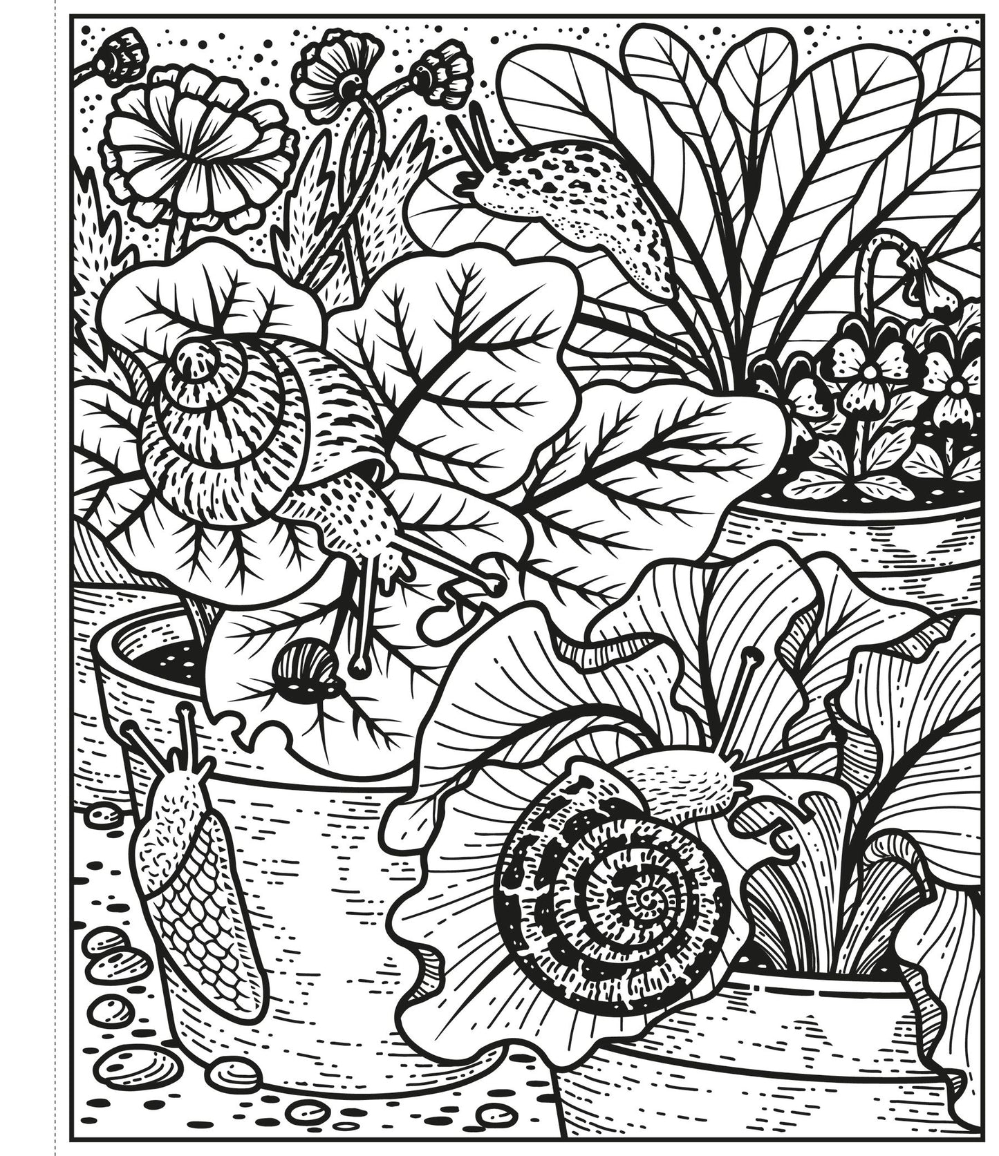 Coloro per magia - Il giardino - Centroscuola