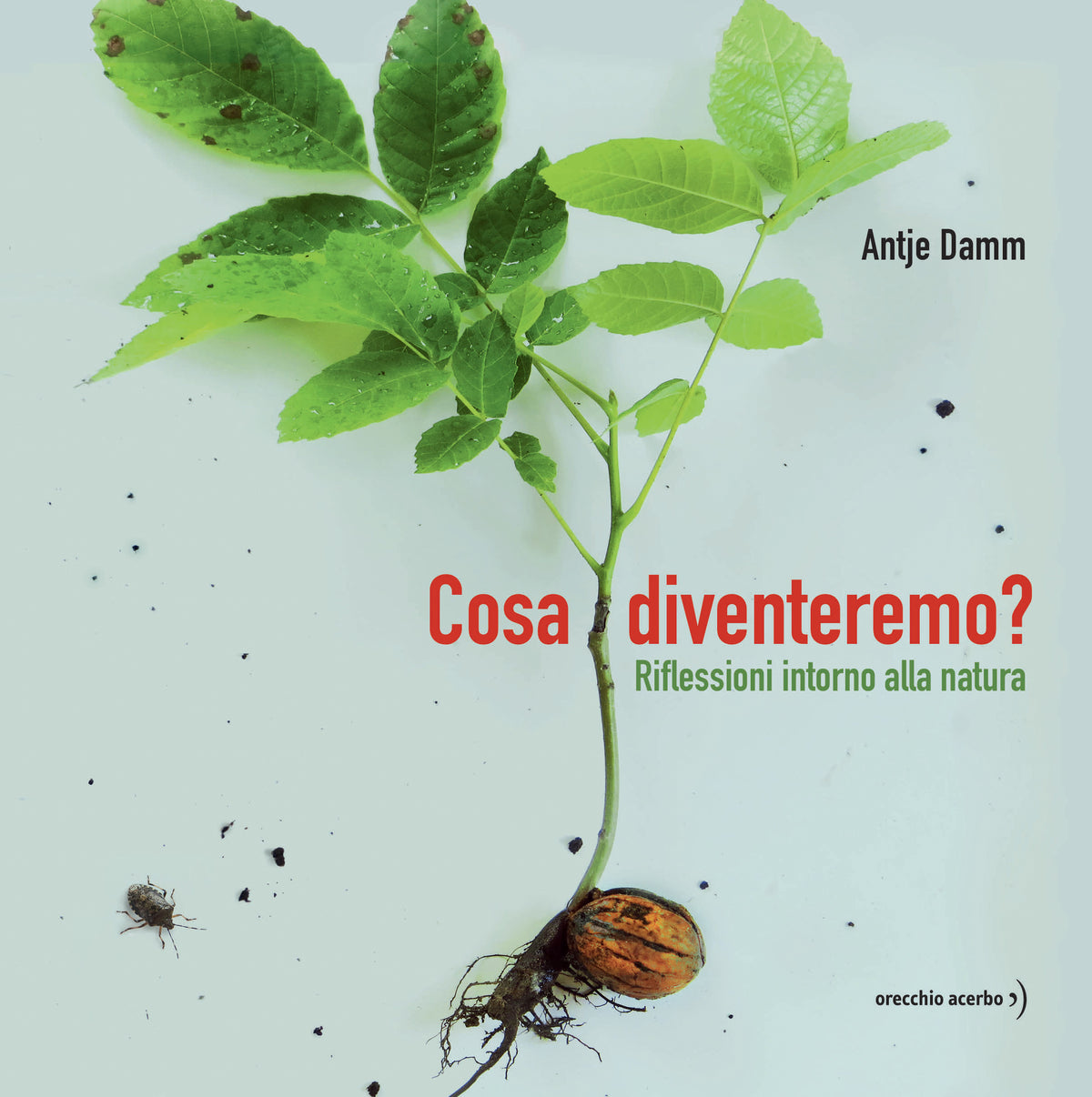 Cosa diventeremo? - Antje Damm - Orecchio Acerbo