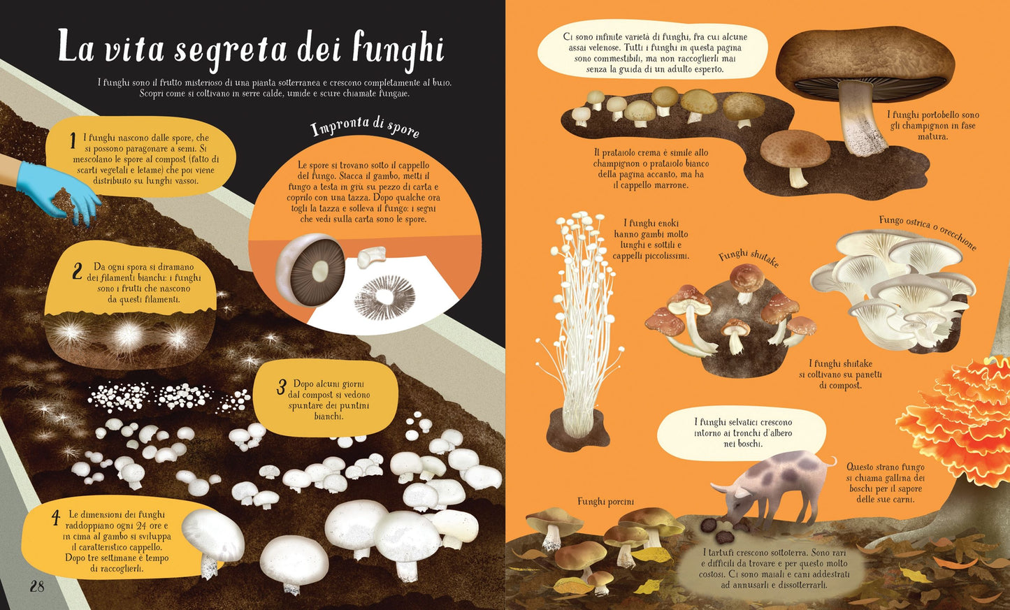 Dal seme al piatto - Centroscuola