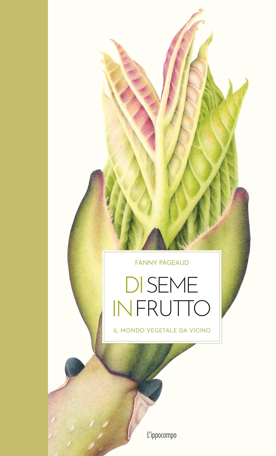 Di seme in frutto - Centroscuola