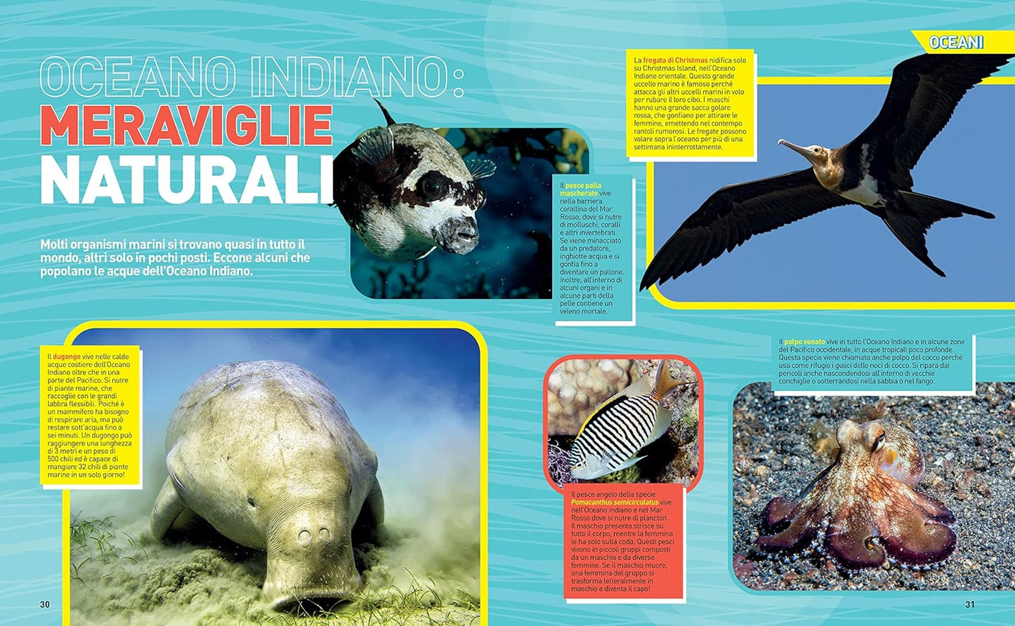 La grande enciclopedia degli oceani - Centroscuola