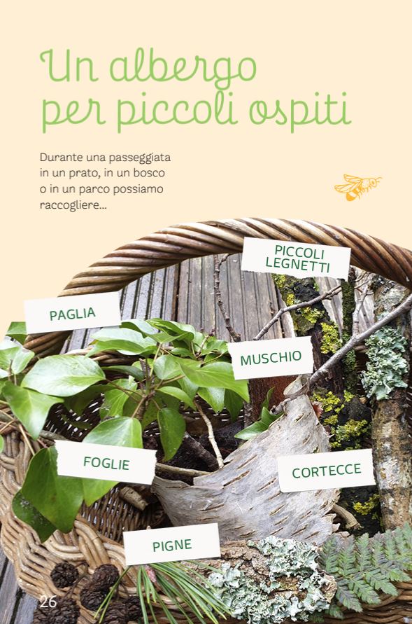 Esploro la natura - Attività all'aperto per tutte le stagioni - Centroscuola