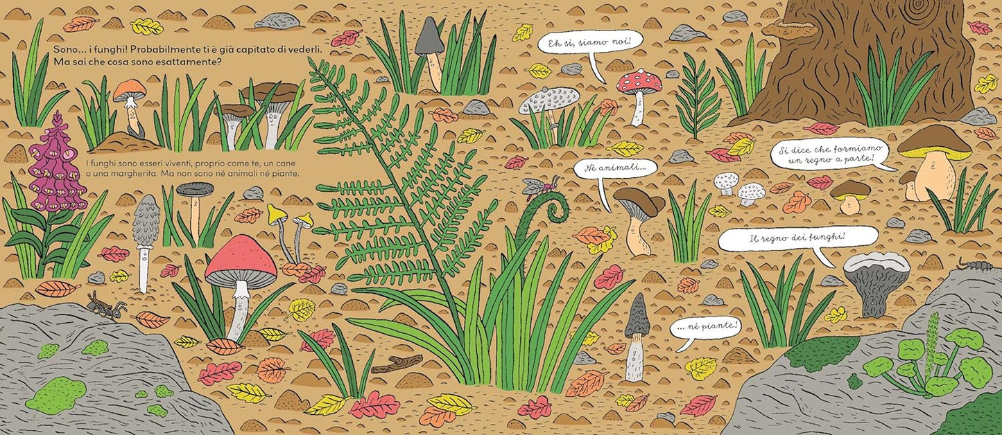 Funghi - Centroscuola