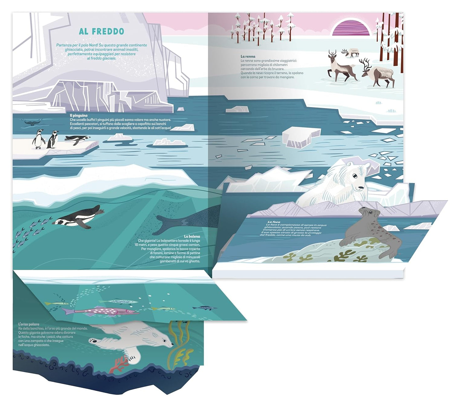 Gli animali selvatici