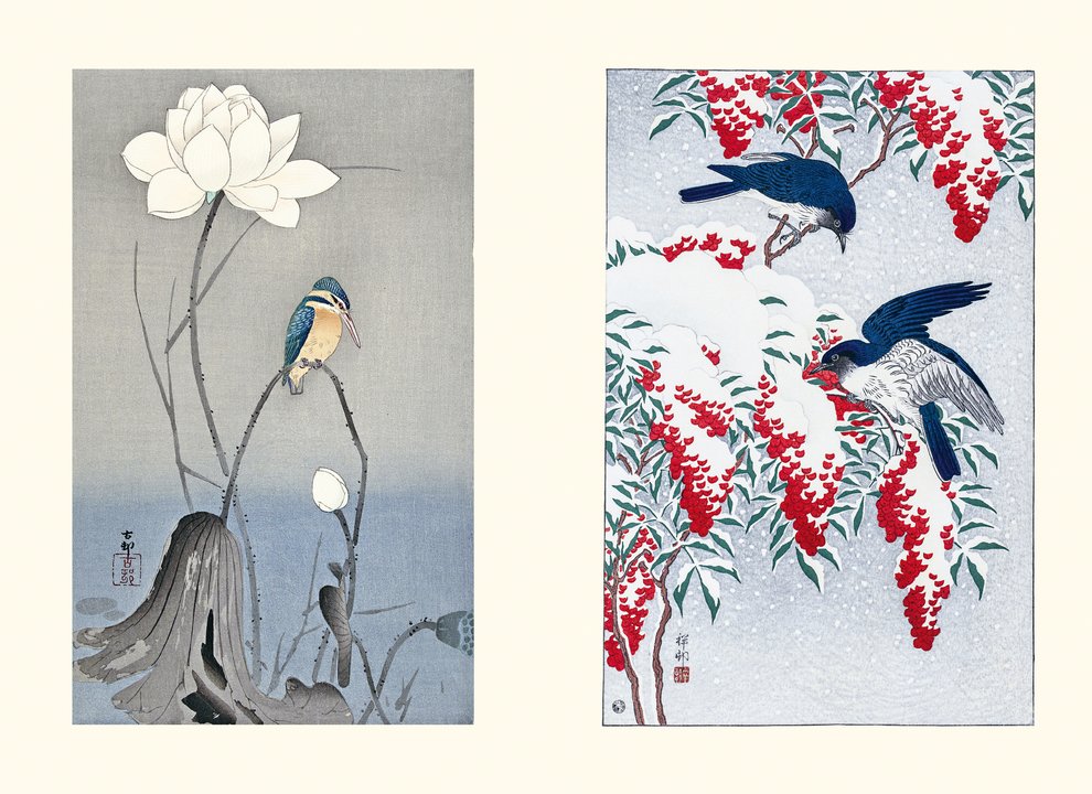 I fiori - Centroscuola