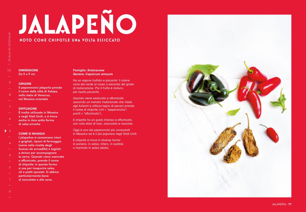 Peperoncino - Centroscuola