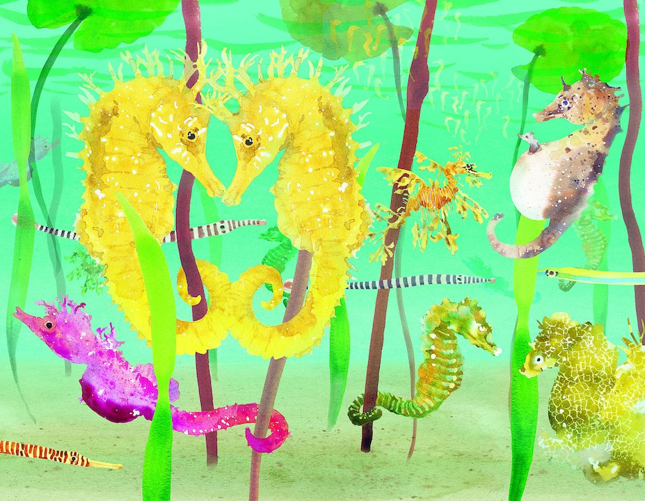 Il giro degli oceani in 80 pesci - Centroscuola