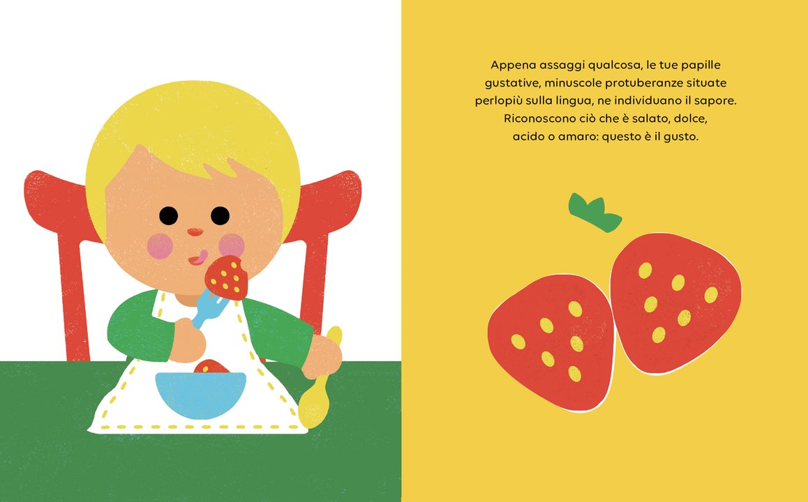 I cinque sensi - Centroscuola