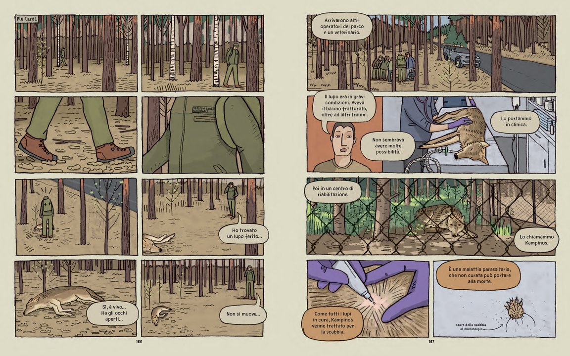 Lupi - Storie vere - Centroscuola