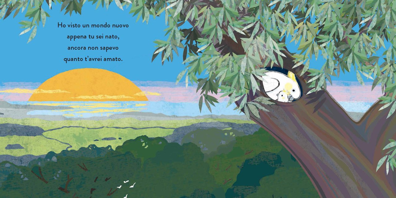 Spicca il volo - Centroscuola