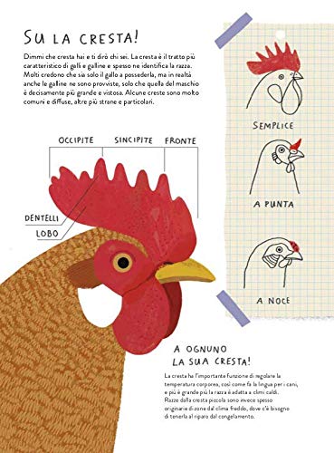 Il gallinario - Centroscuola