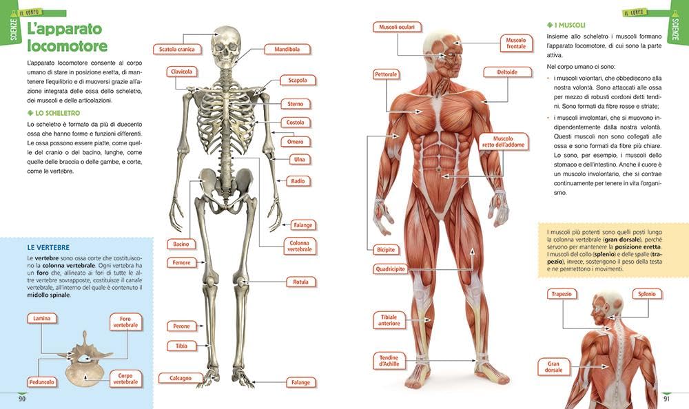 Il mio primo atlante storico, geografico, scientifico - Centroscuola