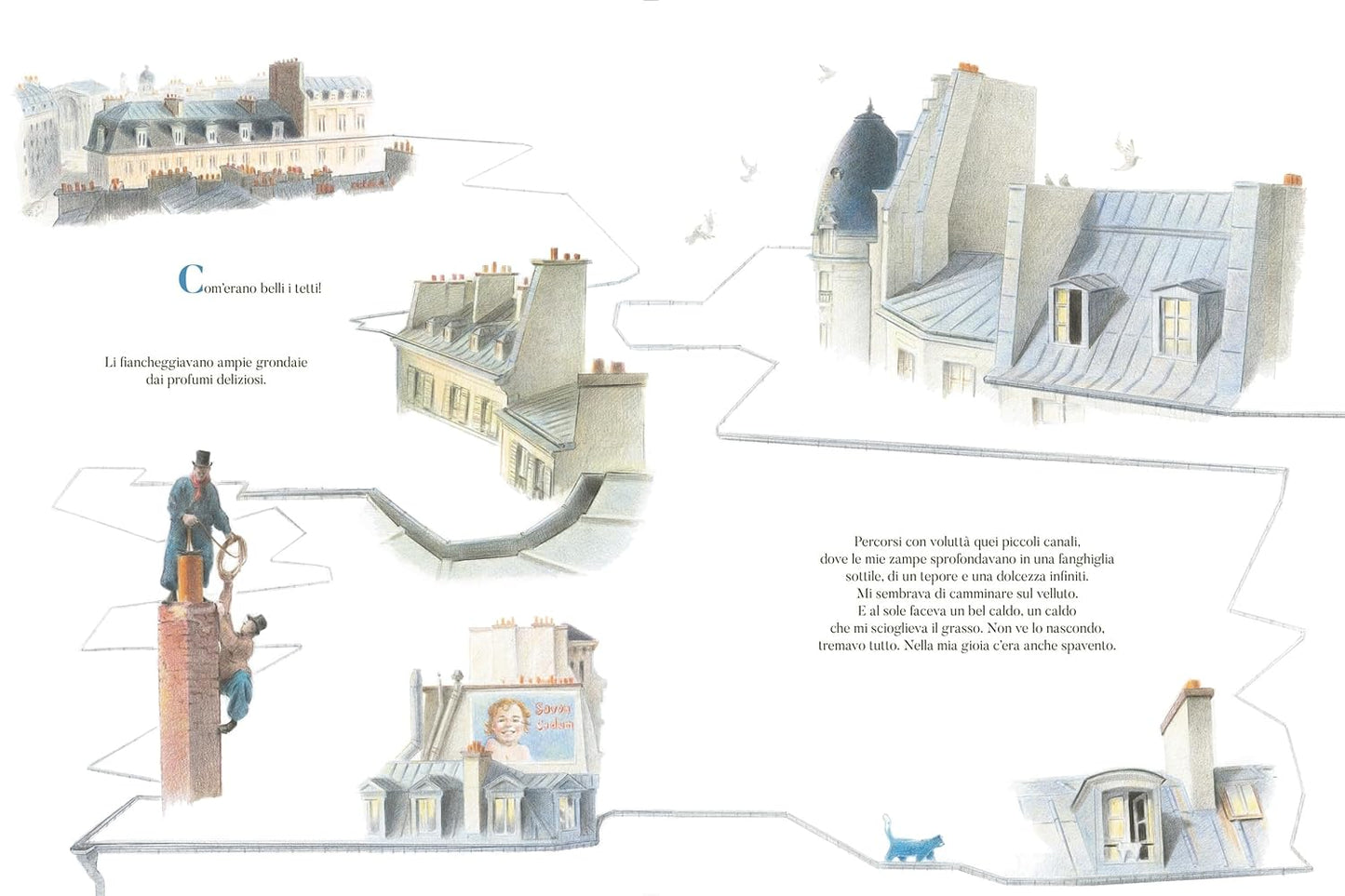 Il paradiso dei gatti - Centroscuola