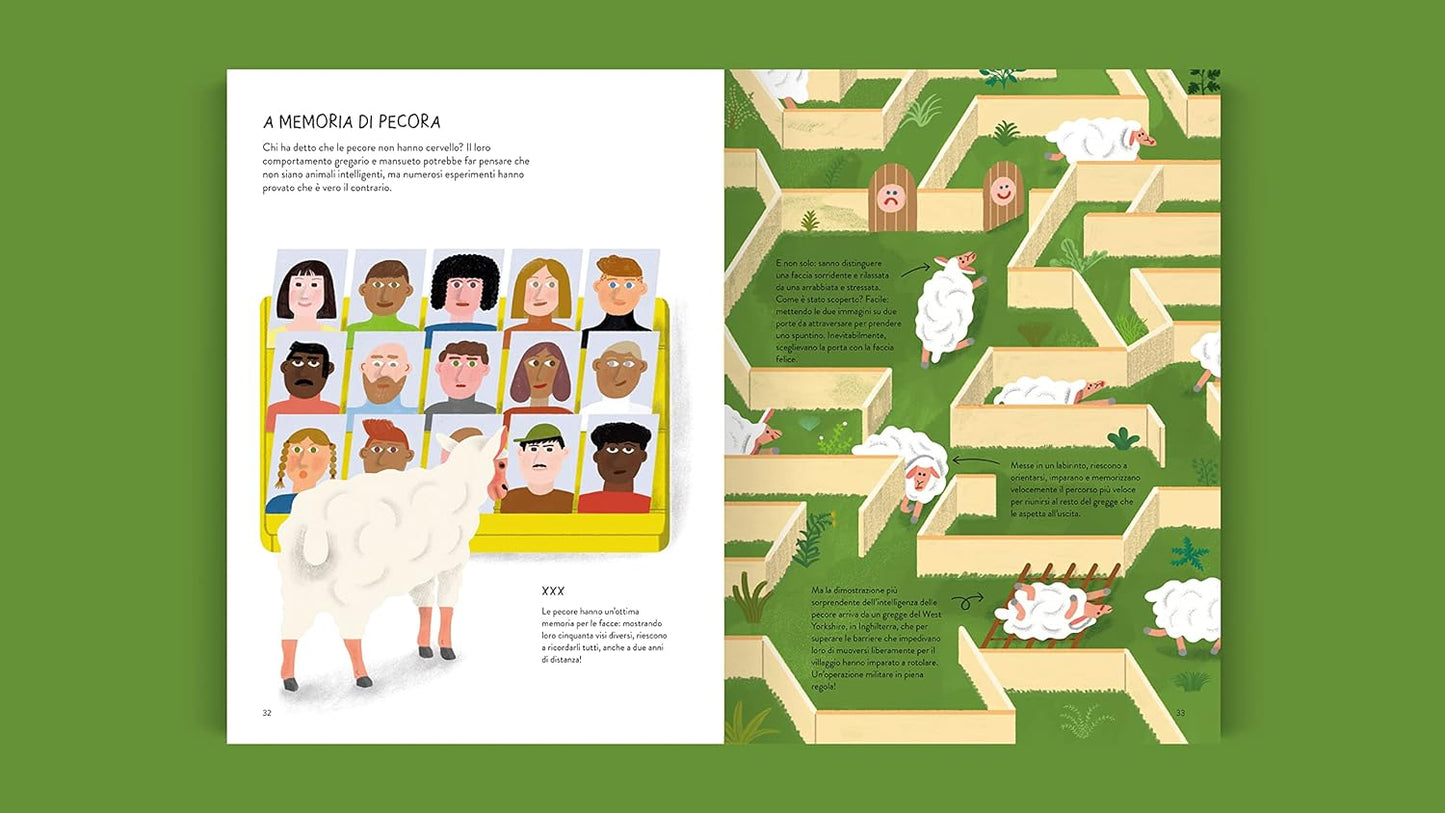 Il pecorario - Centroscuola