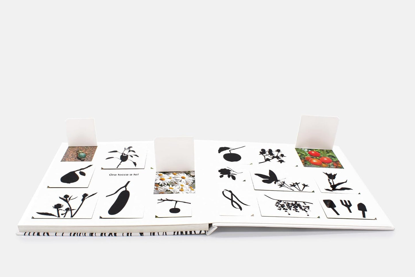 Il piccolo mondo del giardino - Centroscuola