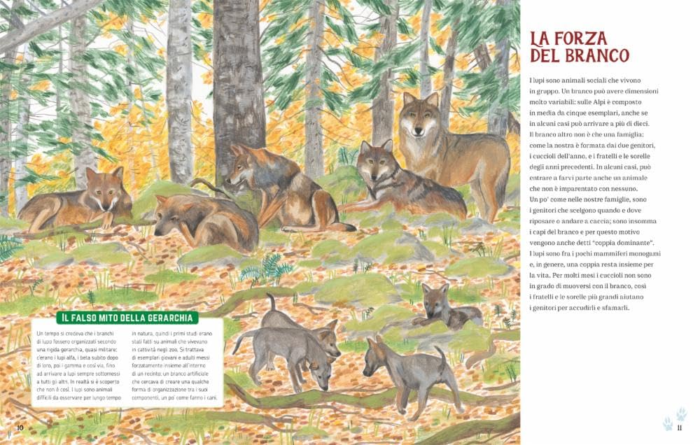 I lupi delle Alpi - Centroscuola