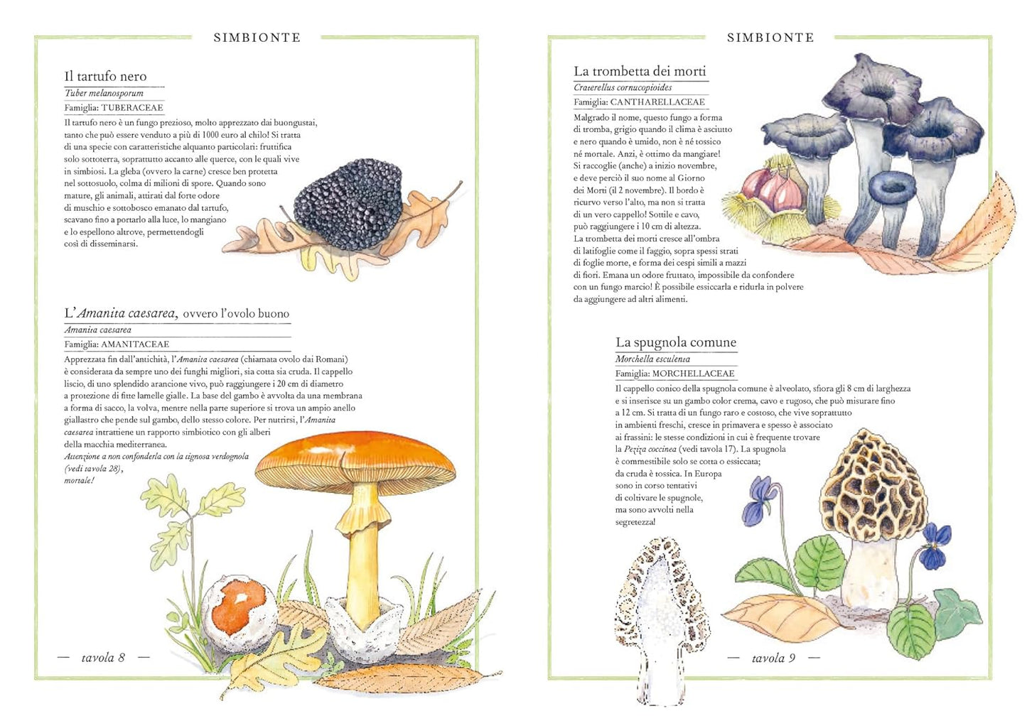 Inventario illustrato dei funghi - Centroscuola