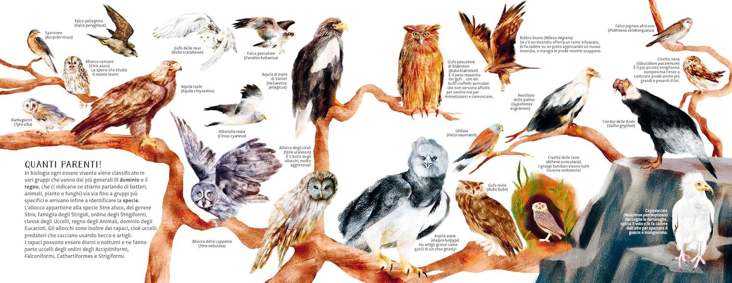 La famiglia allocchi - Centroscuola