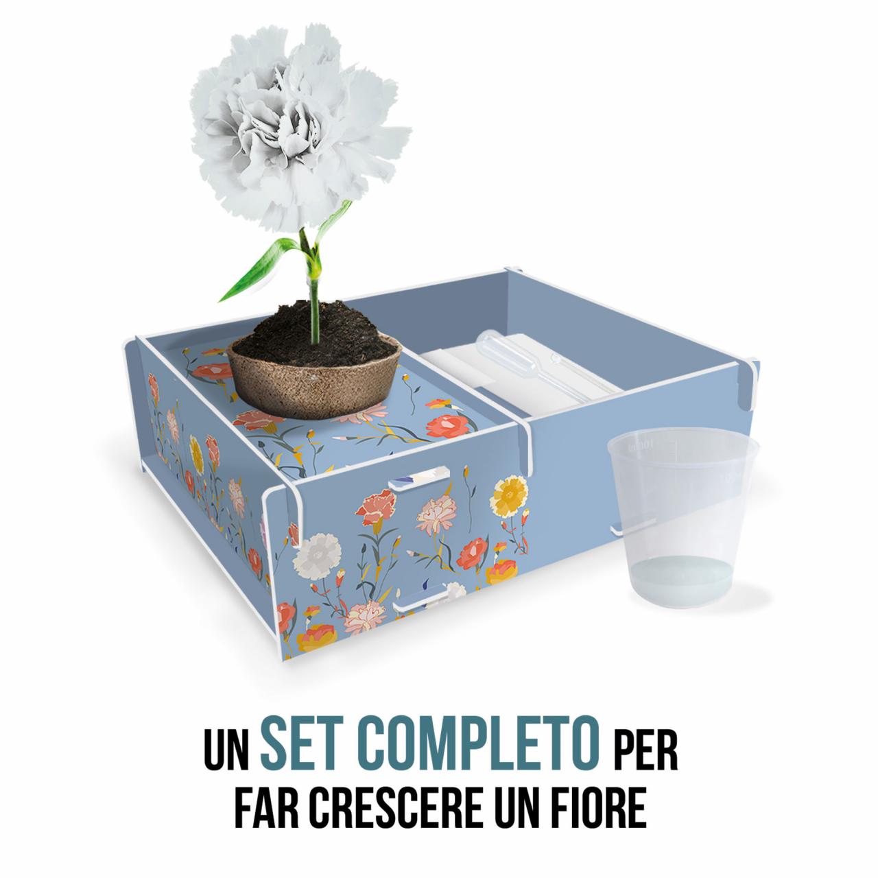 La mia botanica creativa - Centroscuola