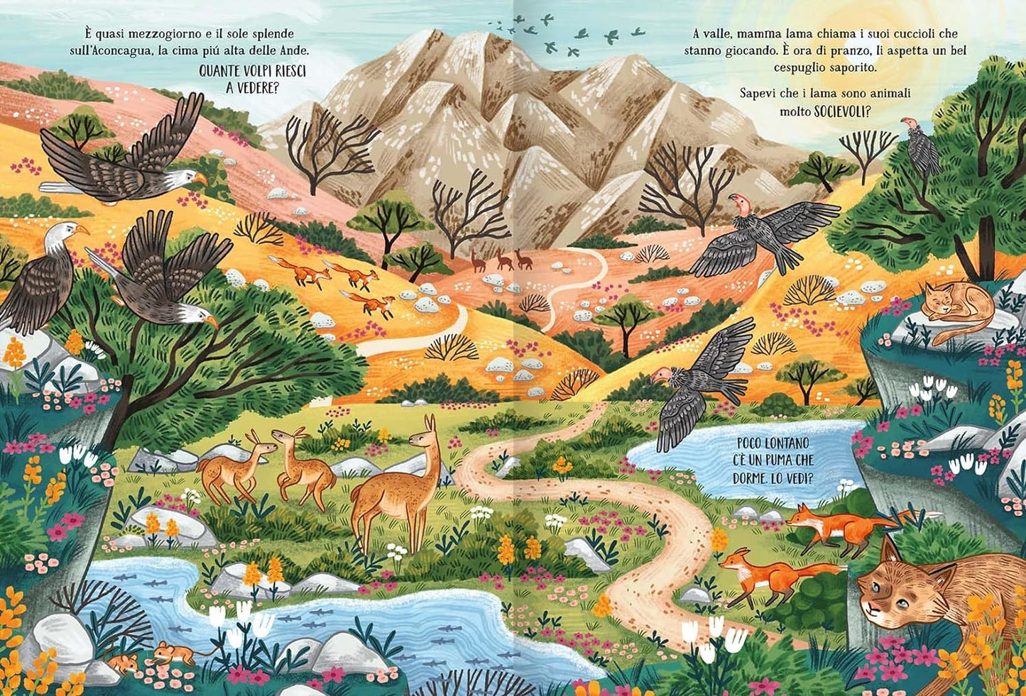 La montagna segreta - Centroscuola