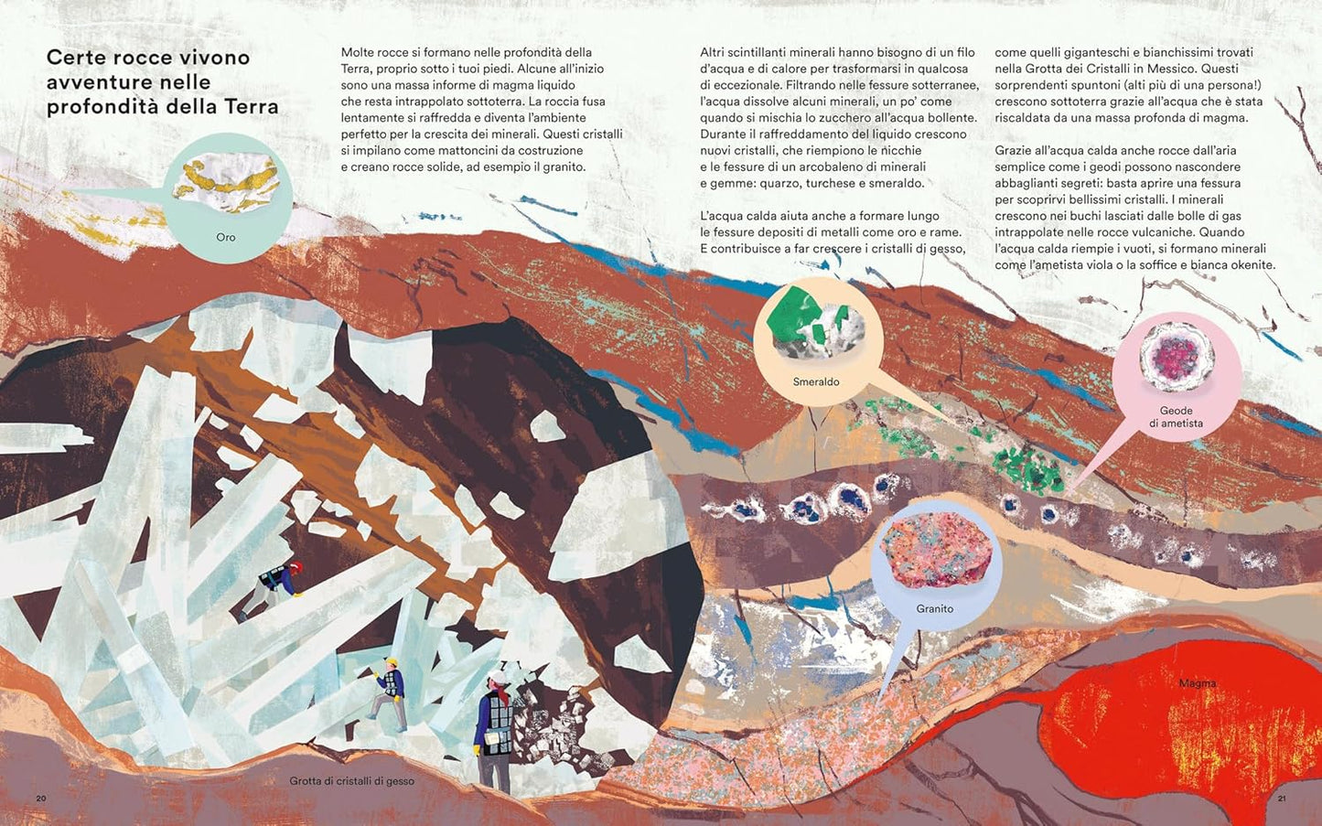 La vita segreta delle rocce - Centroscuola