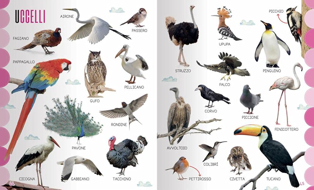 Le mie prime 1000 parole - Centroscuola