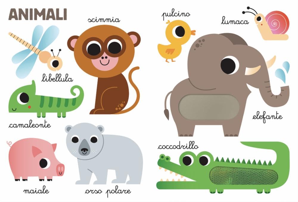 Le mie prime 100 parole tattili - Centroscuola