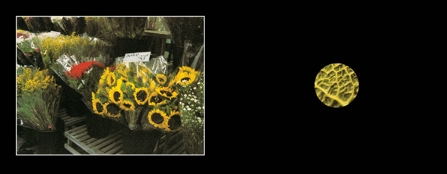 Look Book - Centroscuola