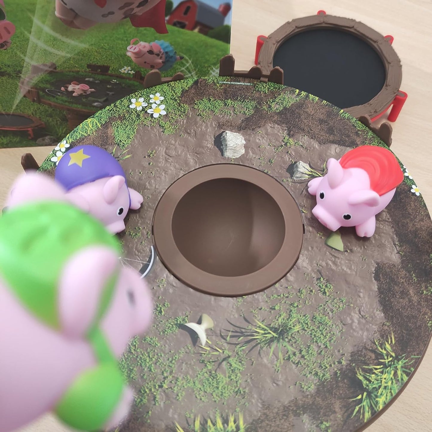 Maialini Salterini - Centroscuola