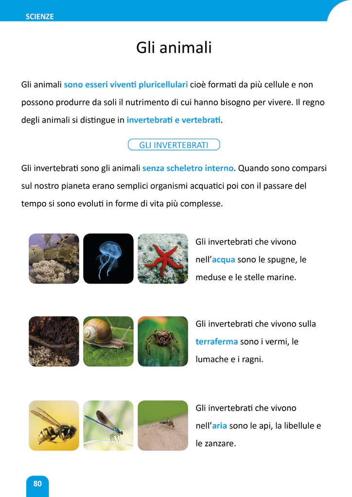 Passepartout Classe 4^ - La chiave dei saperi - Centroscuola