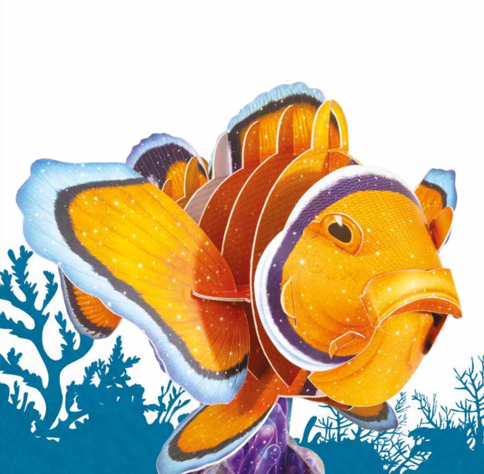 Costruisci in 3D il tuo pesce pagliaccio gigante - Centroscuola