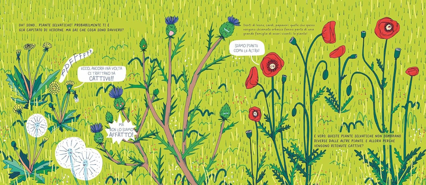 Piante selvatiche - Centroscuola