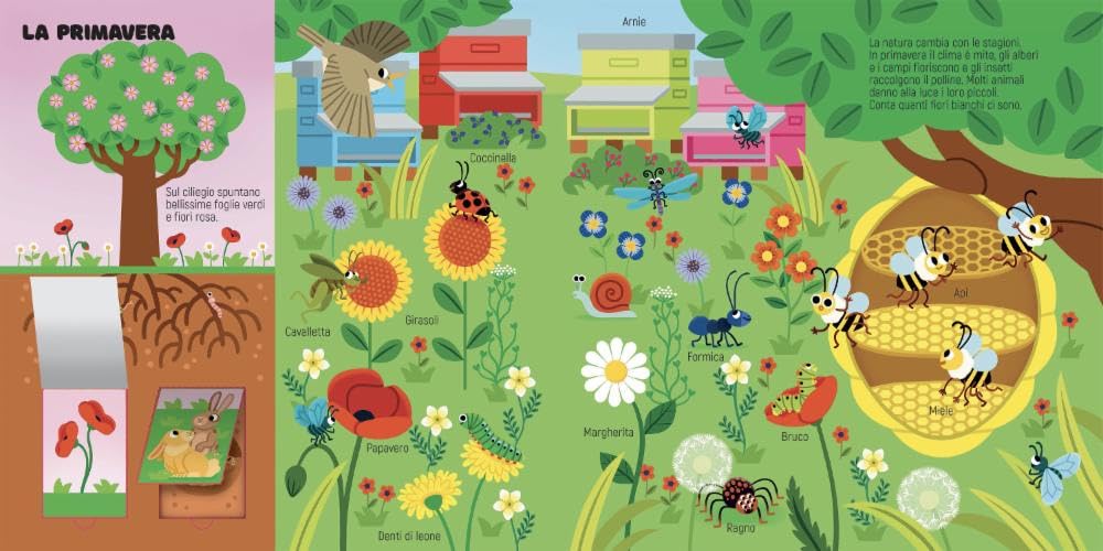 Il mio primo libro della natura - Centroscuola