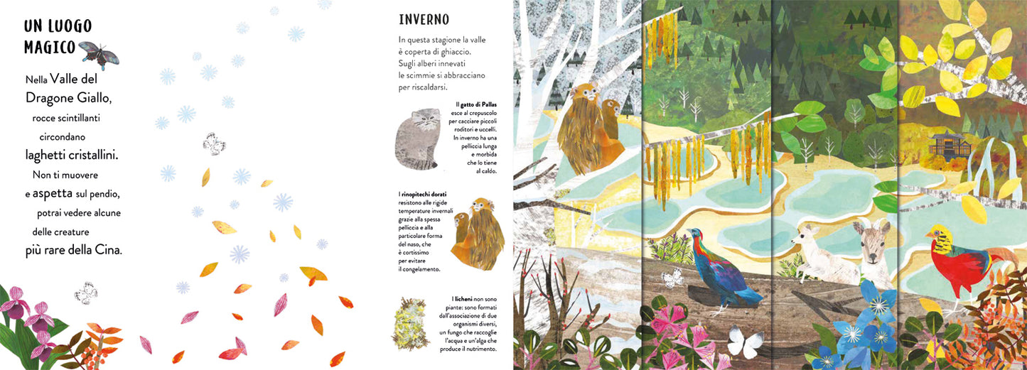 Stagioni - Centroscuola